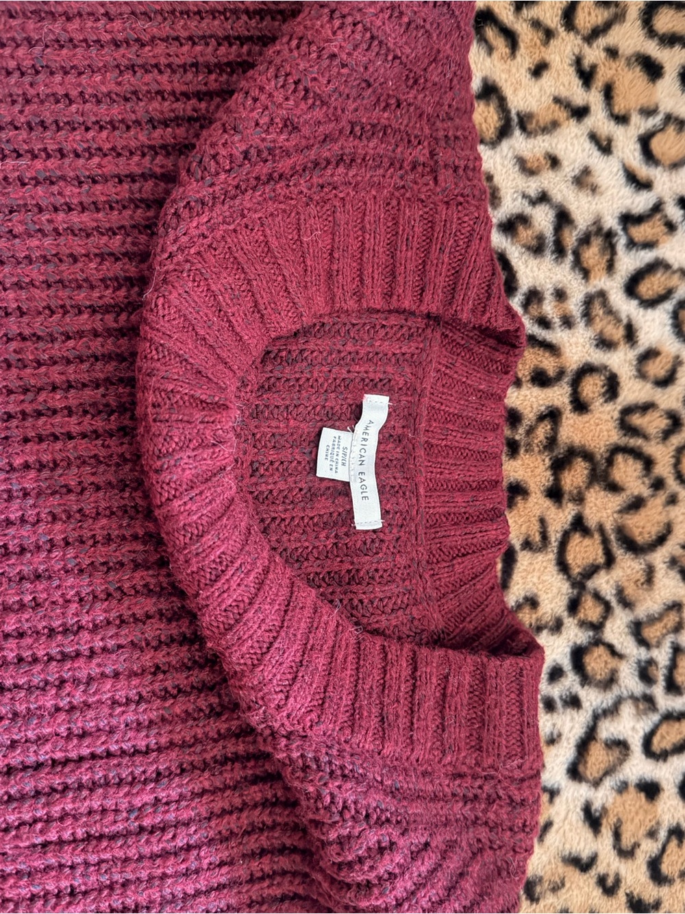 AE Cozy Crewneck Sweater in Burgundy
